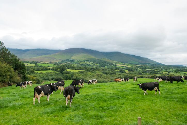Ireland-Farmers-furious-over-25-carbon-emissions-reduction-target.jpg