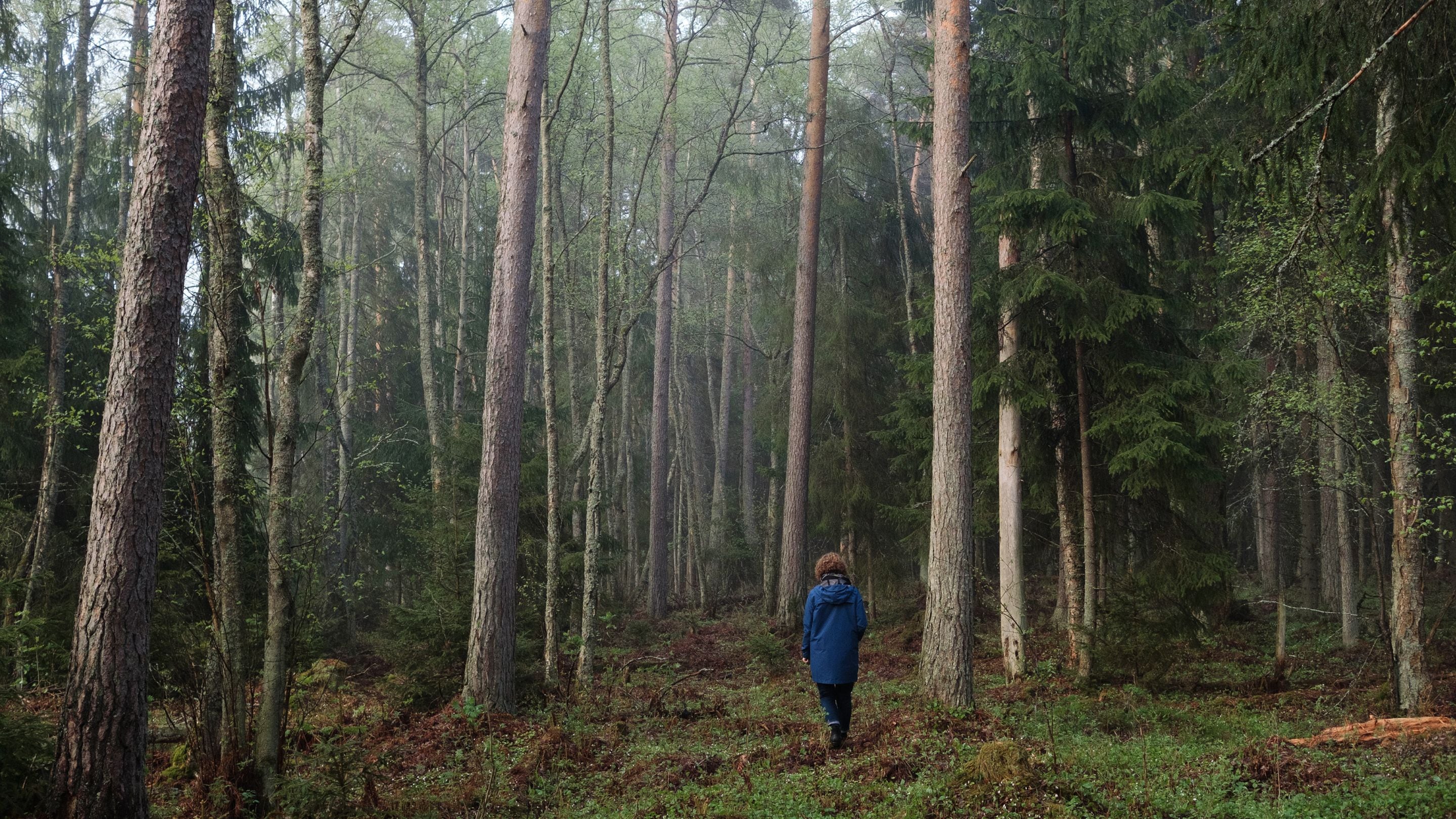 Carbon credits... a hit or miss for Europe’s agtech sector?