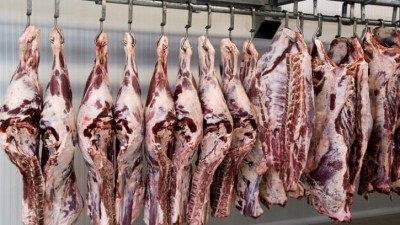 To help policymakers prepare for a transition from high levels of industrial meat production and consumption, the scientists presented five guiding principles that are in line with the One Health approach. GettyImages