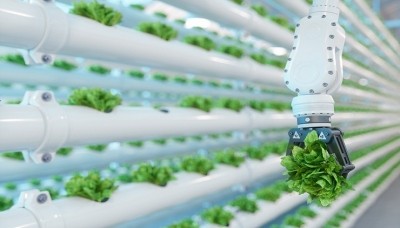 A robotic arm harvesting lettuce in a vertical hydroponic plant. © Getty Images