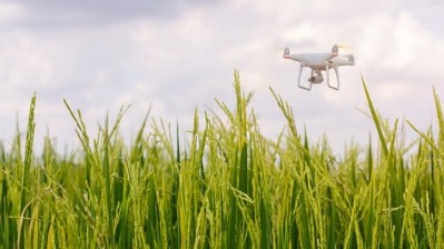A new report from agriculture drone firm DJI Agriculture has highlighted how multiple crops essential to Asia’s agriculture sector stand to reap benefits from advancements in drone technology, as government acceptance steadily increases in the region. ©Getty Images
