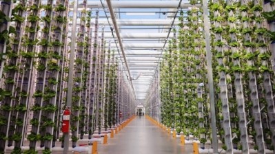 Eden Green Technology on how patented vertical greenhouse system can addresses CEA challenges
