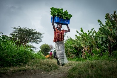 Double benefits: Climate change adaption leads to greater food security for Kenyan farmers © Getty Images