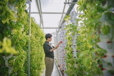 Research points to the artificial aspect of vertical farming happening in a “controlled environment” as a major hurdle to consumer acceptance © Getty Images