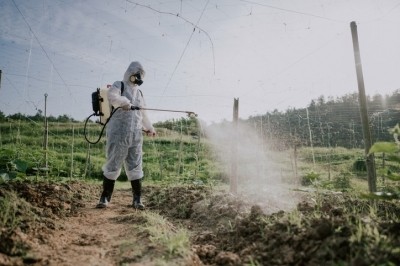 This research is a study within ESPINA: The Study of Secondary Exposures to Pesticides Among Children and Adolescents. GettyImages