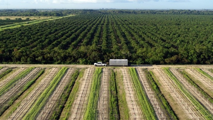 Farm_Florida_DroneShot