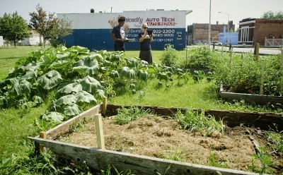 Image: University of Michigan researchers evaluate an urban garden in Detroit. Photo credit: Dave Brenner, University of Michigan.