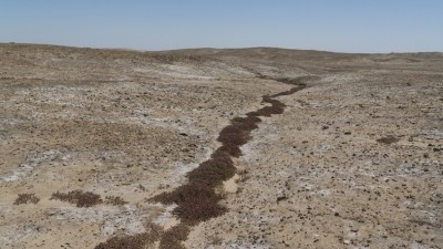 Saline dried soil in Iraqi desert. Image: Getty/coddy