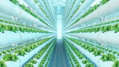 Indoor AgTech Innovation Summit: Building supply chain resilience for fresh produce