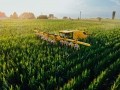 PowerPollen's corn pollen application in action in Iowa in July 2023