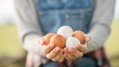 Egg industry leaders in China have highlighted a need to develop better traceability technology to ensure cage-free eggs reaching consumers are truly authentic. ©Getty Images