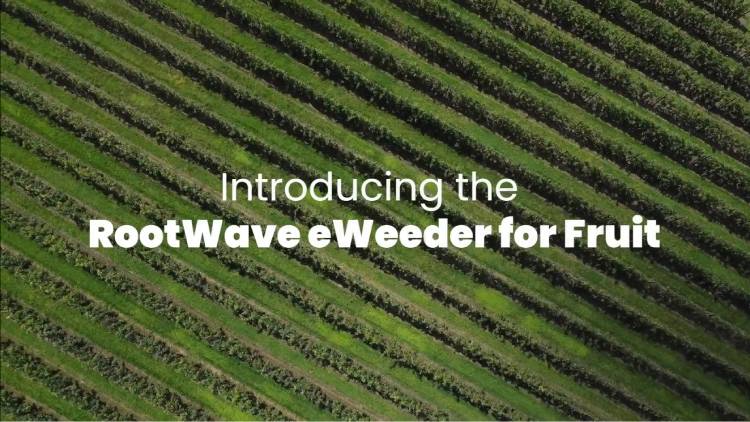 RootWave eWeeder for Fruit - chemcial-free weed control for orchards and vineyards using electricity